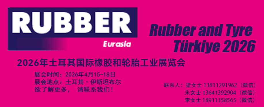 �������ܴ���2026�������������չ��